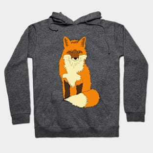 FOX KIDS NATURE PETS FAUNA CUTE Hoodie